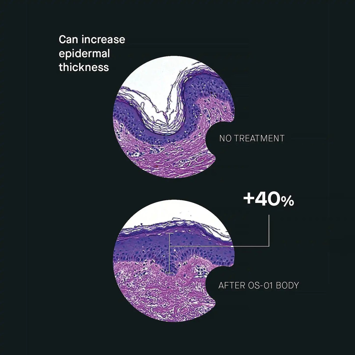 BODY MOISTURIZER